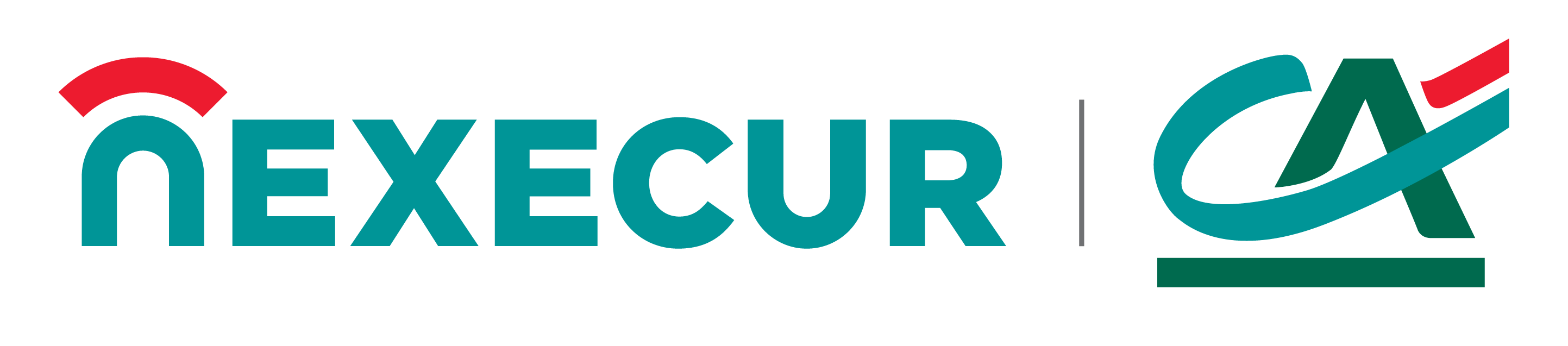 Logo Nexecur